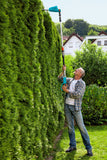 Gardena Teleskophäcksax THS 42/18V